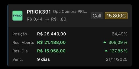 Posição PRIOK391 com resultado aberto de 309,09%